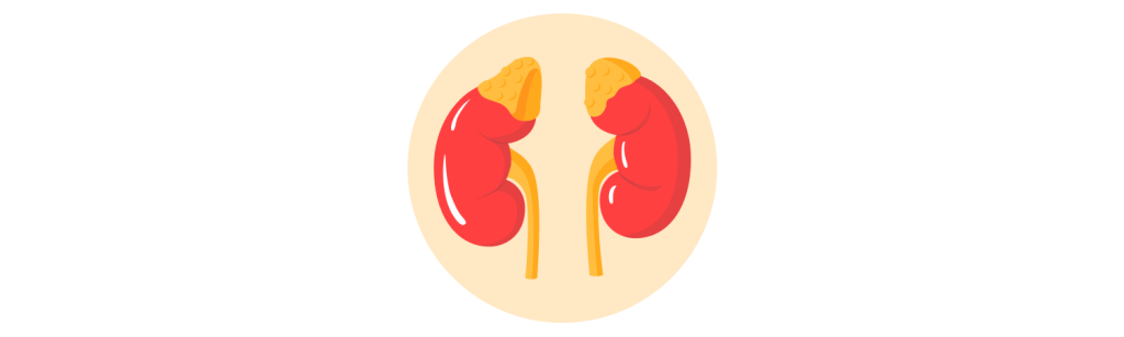 Adrenal Conditions
