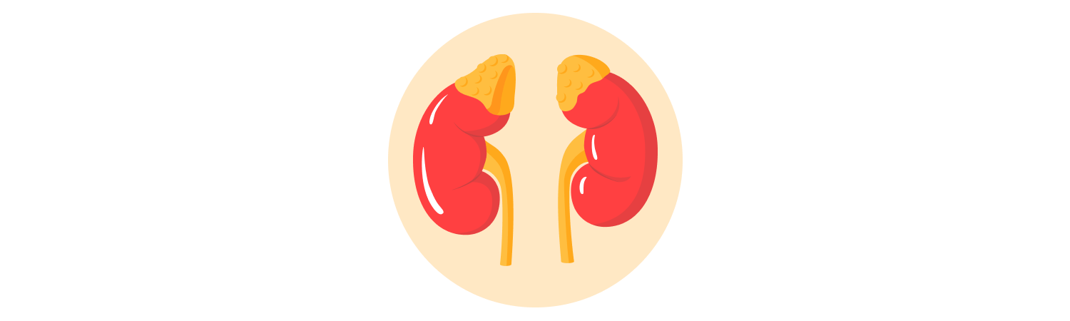 Adrenal Conditions