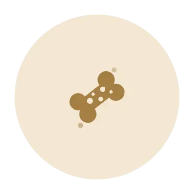 Exercise Physiology icon-bone-health-osteoporosis